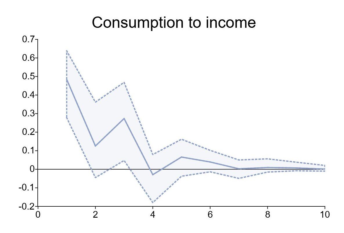 Impulse response function of consumption to income shock.